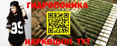 молекула духа Пенза