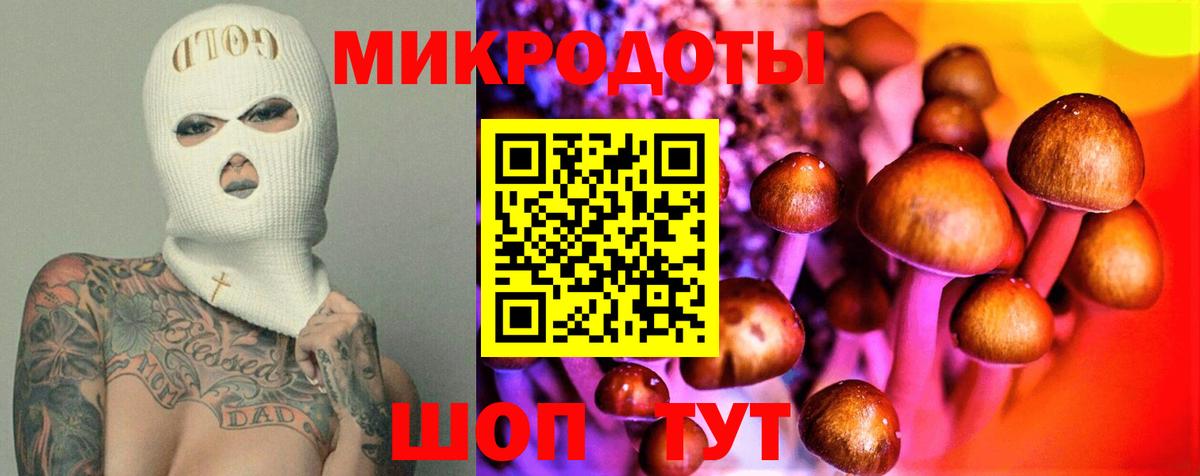 что такое   Галлюциногенные грибы Psilocybe  Псилоцибиновые грибы Psilocybe  Вход с VPN  Ростов Великий 